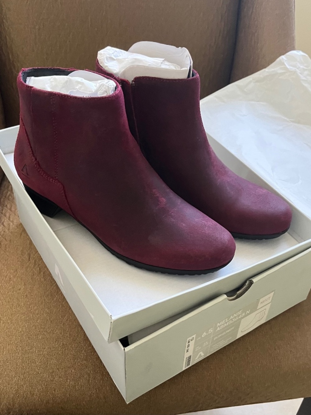 ABEO ankle boots, cranberry, wine colored suede